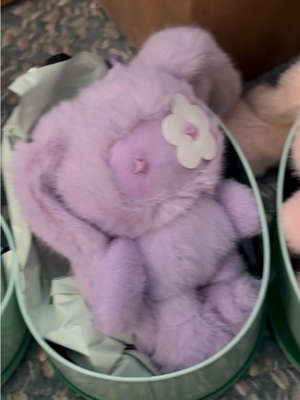 CJ Hendry Easter JUJU PURPLE